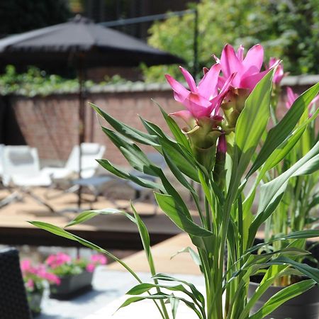 Charmehotel Villa Saporis Хаселт Екстериор снимка